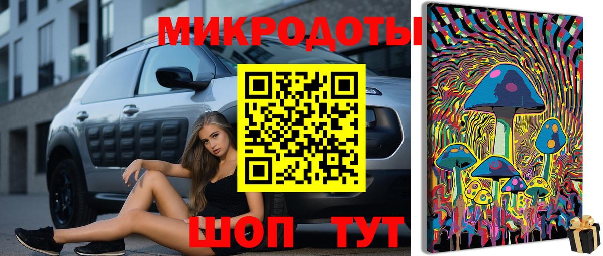 Галлюциногенные грибы Psilocybe  Вход с VPN  Владимир 
